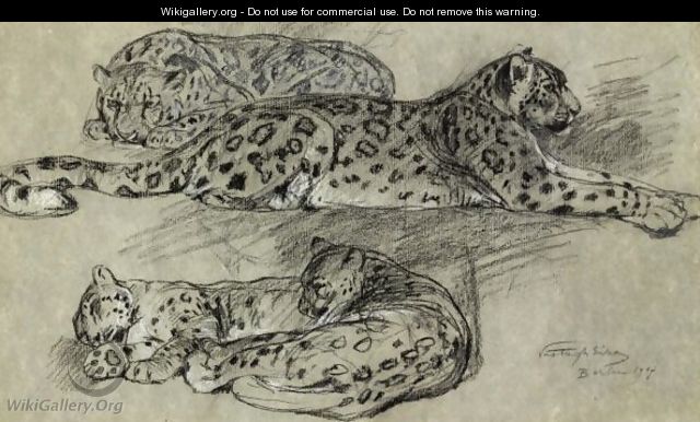 Leopards - Geza Vastagh