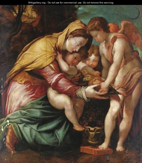 Madonna Del Pappagallo - (after) Francesco De