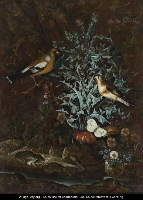 Song Birds, Butterflies, Thistles, Flowers, And Reptiles By A Stream - (after) Mathias Withoos