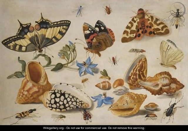 A Swallowtail (Papilio Machaon), Red Admiral (Vanessa Atalanta) And Other Insects With Shells And A Sprig Of Borage (Borago Officinalis) - Jan van Kessel