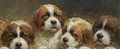 Four Curious Saint Bernards Puppies - Otto Eerelman