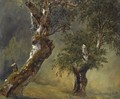 Studie Av Trar (Study Of Trees) - Thomas Fearnley