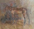 Basil Blackshaw