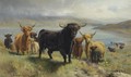 Highland Cattle 2 - Joseph Denovan Adam