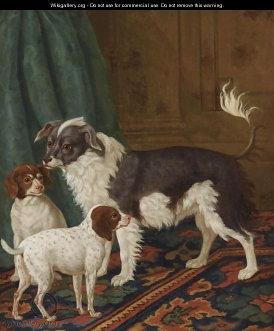 A Longhaired Black-And-White Dog With Bushy Tail And Two Brown Spotted White Puppies In An Interior - Tethart Philip Christiaan Haag
