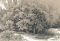 Forest Clearing 2 - Ivan Shishkin