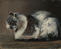 Cat - (after) Ivan Pavlovich Pokhitonov