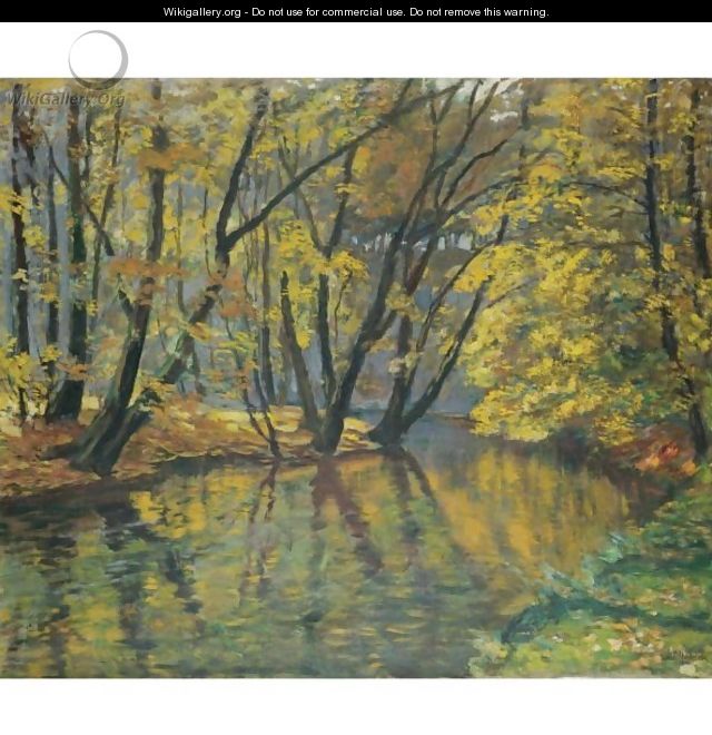 The Bela Stream In Autumn - Antonin Hudecek