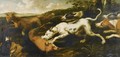 Hounds Hunting A Brace Of Foxes - (after) Paul De Vos