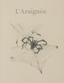 Histoire Naturelles - Henri De Toulouse-Lautrec