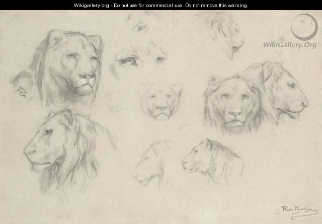 Study Of Lions And Lionesses - Rosa Bonheur