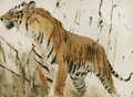 Study Of A Tiger - Wilhelm Kuhnert