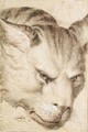 Study Of The Head Of A Wild Cat - French School