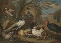 A Farmyard Still Life With A Peacock, Pigeons, Cockerels, And A Fox - Adriaen de Gryef