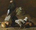 A Still Life With A Couple Of Pigeons Nesting And Preening Together With Four Chicks - Jan Victors