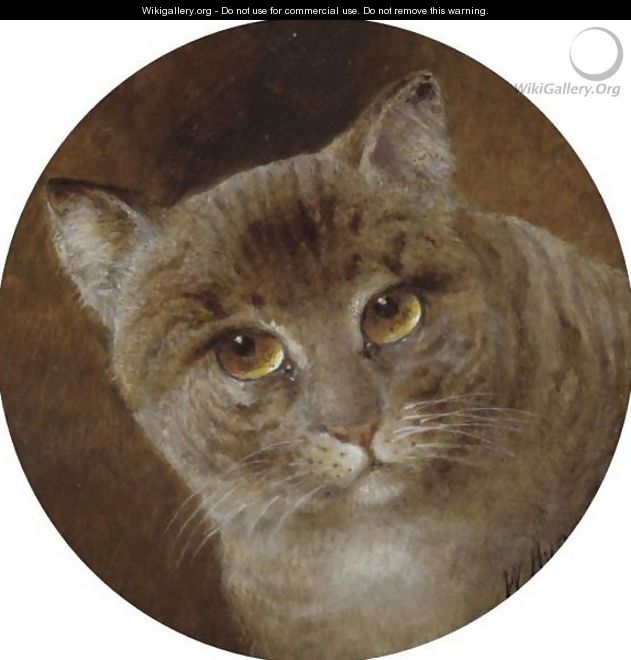 The Head Of A Cat - William Huggins
