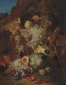 Still Life Of Fruit In A Landscape With The Fragment Of A Bas-Relief - Abraham Brueghel