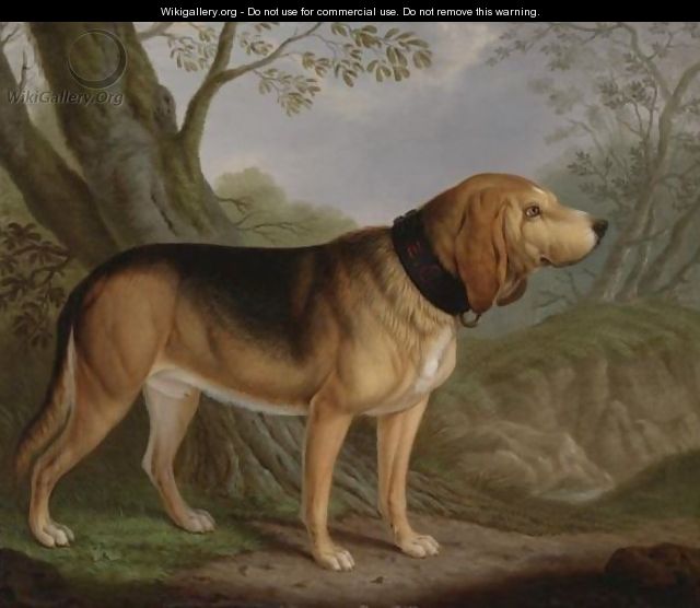 A Bloodhound In A Landscape - Christian Wilhelm Karl Kehrer