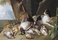 Hunting Still Life With Game Birds And Zette, The Hound - Claude Francois Desportes