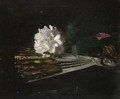 Still Life With A Fan And A Carnation - George Leslie Hunter