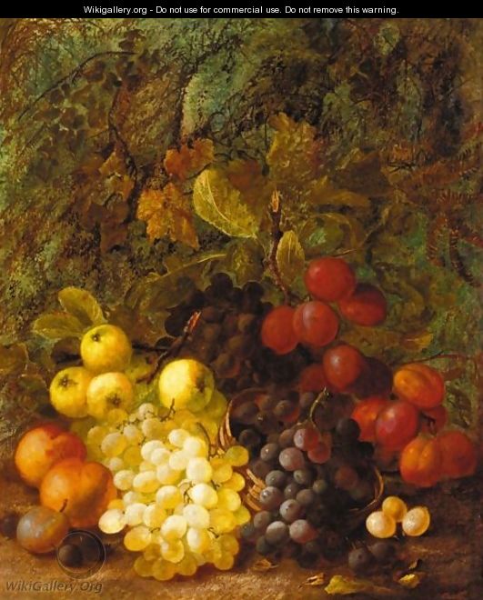 Still Life Of Grapes, Plums, Peaches And Apples - Vincent Clare