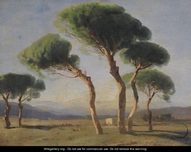 Study Of Umbrella Pines - Alexandre Calame