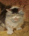 An Angry Little Kitten - Henriette Ronner-Knip
