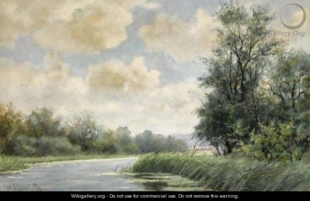 A Sunlit Polder Landscape - Willem Roelofs