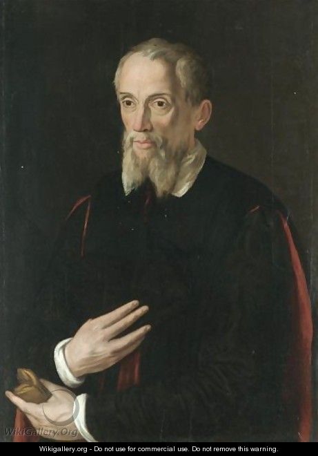 Portrait Of A Bearded Elderly Gentleman - Florentine School