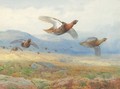 A Covey Of Grouse In Flight - Archibald Thorburn