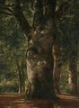 Tronc De Hetre Stem Of A Beech Tree - Alexandre Calame