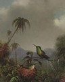 Two Thorn-Tails (Langsdorffs Thorn-Tail, Brazil) - Martin Johnson Heade