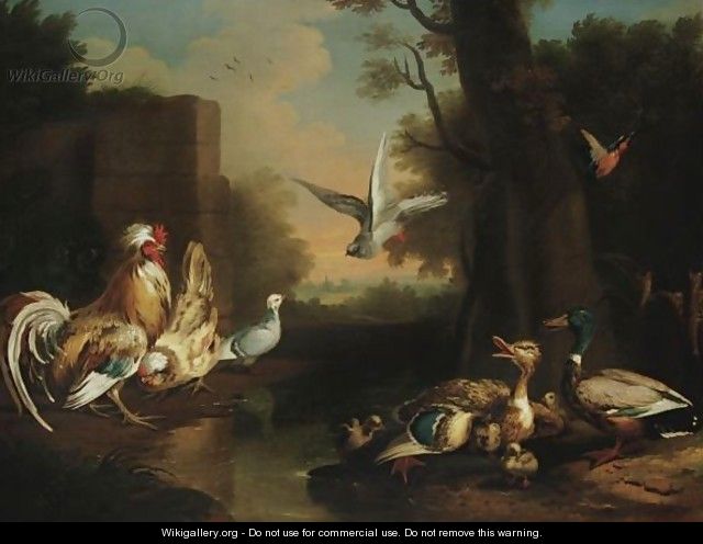A Rooster, Hen, Ducks And Other Birds In A Landscape - Pieter Casteels