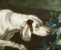 Head Of A Spaniel - (after) Jean-Baptiste Oudry