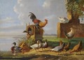 Poultry On The Waterfront - Albertus Verhoesen