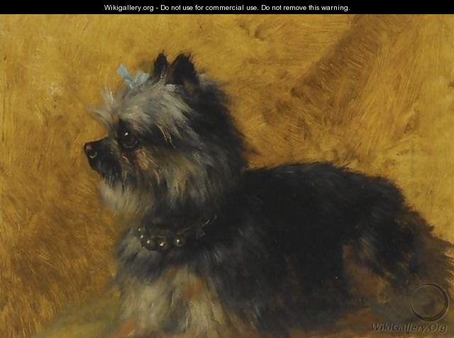 A Yorkshire Terrier - Henriette Ronner-Knip