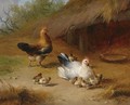 Chickens - Eugène Verboeckhoven