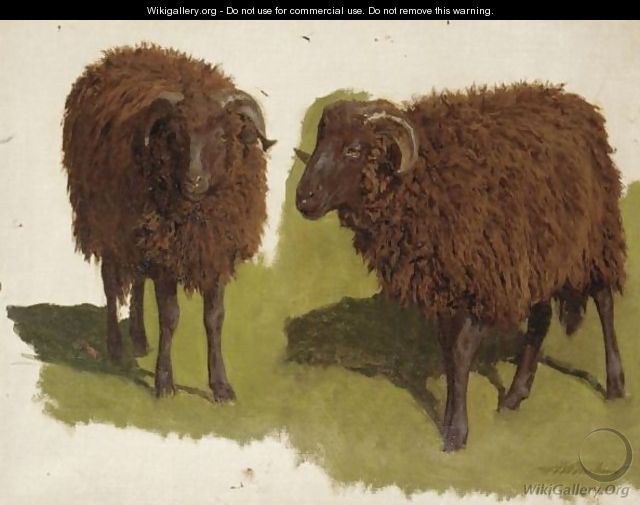 Study Of Black Rams - Auguste Bonheur