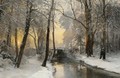 Winter Woodland At Dawn - Anders Anderson-Lundby