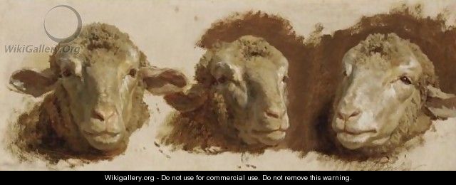 Study Of Three Sheep Heads - Auguste Bonheur