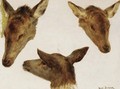 Study Of Deer Heads - Rosa Bonheur