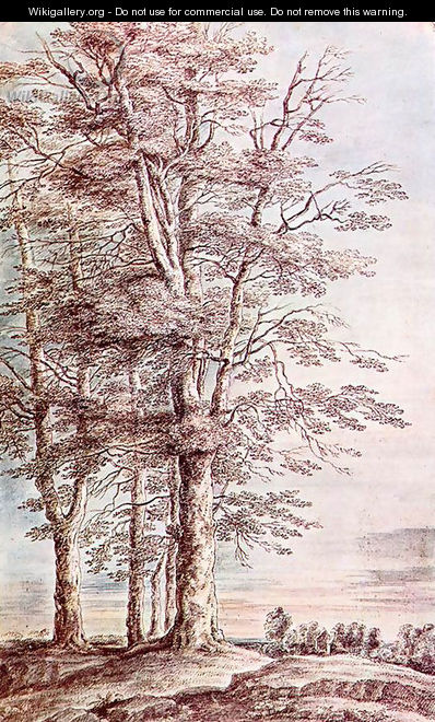 Landscape With Tall Trees - Lucas Van Uden