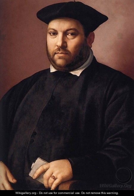 Portrait of a Gentleman - Ridolfo Ghirlandaio