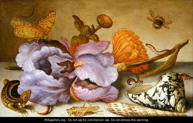 Still life depicting flowers, shells and insects - Balthasar Van Der Ast