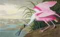 John James Audubon