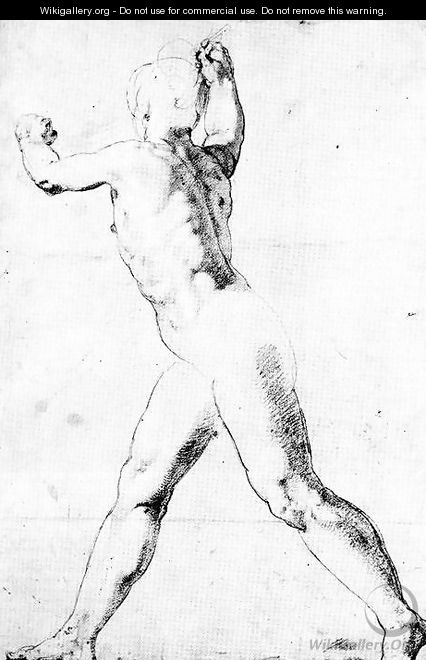 Study of a Male Nude - Taddeo Zuccaro