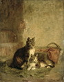 Cats 1883 - Julius Adam