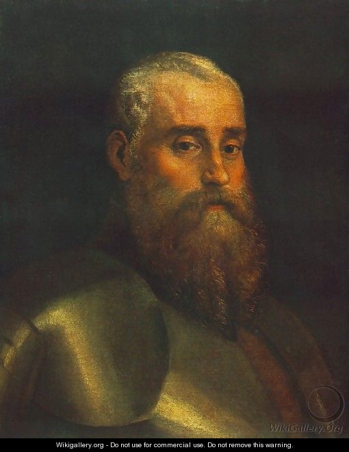 Portrait of Agostino Barbarigo - Paolo Veronese (Caliari)