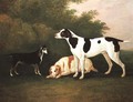 Three Dogs in a Landscape - John Boultbee