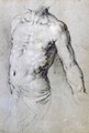 Study of a Male Torso - Paris Bordone